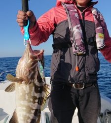 FJガイドサービス 釣果