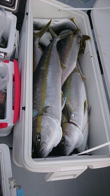 海龍丸（福岡） 釣果