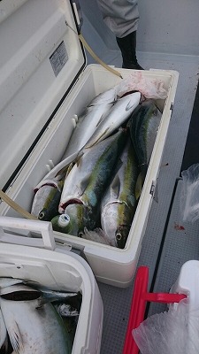 海龍丸(福岡) 釣果