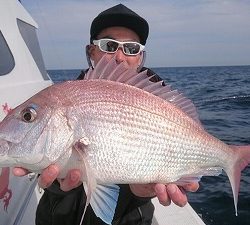 海龍丸(福岡) 釣果