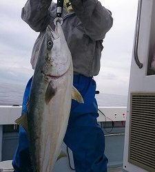 海龍丸(福岡) 釣果