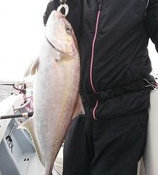 海龍丸(福岡) 釣果