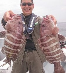 海龍丸(福岡) 釣果