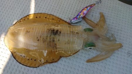 オーフリー 釣果