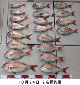 来温丸（らいおんまる） 釣果