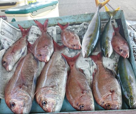明神釣船 釣果