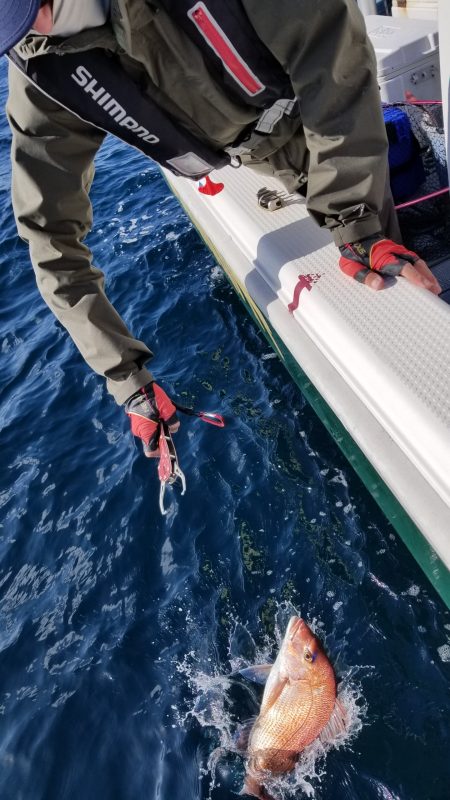 珀宝丸 釣果