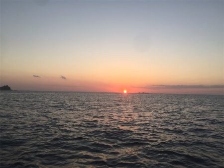 マタウマリンサービス 釣果