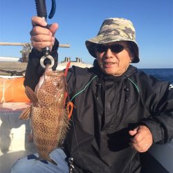 マタウマリンサービス 釣果