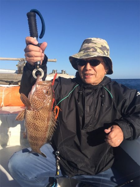 マタウマリンサービス 釣果