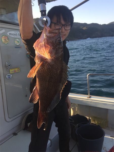 マタウマリンサービス 釣果