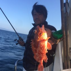 マタウマリンサービス 釣果