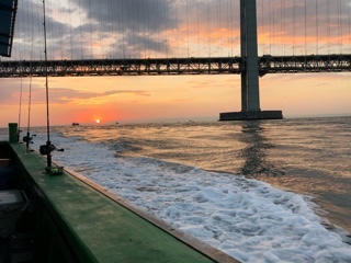 利弥丸(としやまる) 釣果