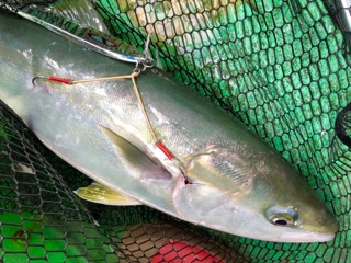 利弥丸(としやまる) 釣果