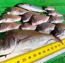 利弥丸(としやまる) 釣果