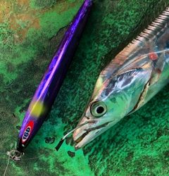 利弥丸(としやまる) 釣果