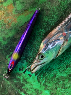 利弥丸(としやまる) 釣果