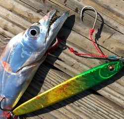 利弥丸(としやまる) 釣果