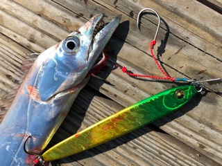 利弥丸(としやまる) 釣果