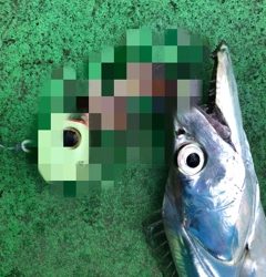利弥丸(としやまる) 釣果