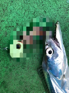 利弥丸(としやまる) 釣果