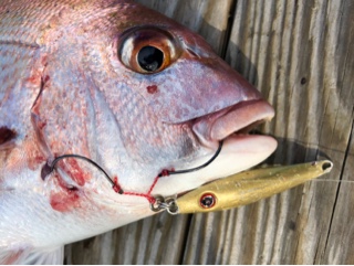 利弥丸(としやまる) 釣果