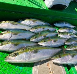 利弥丸(としやまる) 釣果