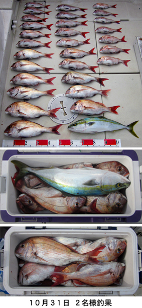 来温丸（らいおんまる） 釣果