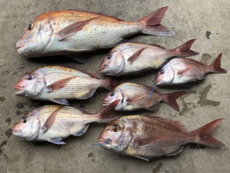 長栄丸(千葉) 釣果