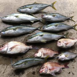 長栄丸(千葉) 釣果