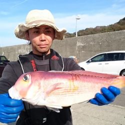 大進丸（新潟） 釣果