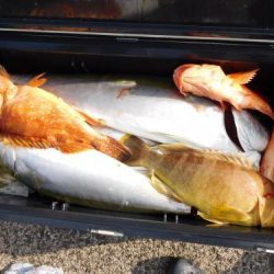 第二一之紀丸（ダイニイチノキマル） 釣果