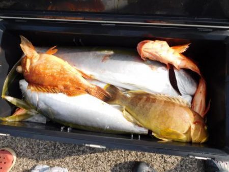 第二一之紀丸（ダイニイチノキマル） 釣果