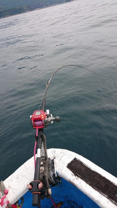 龍神丸(福井) 釣果