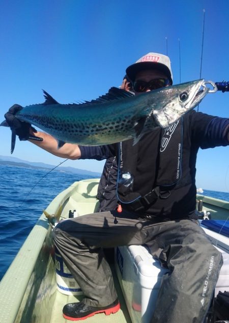 気仙沼　つり丸 釣果