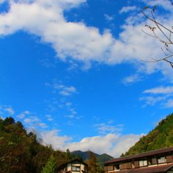 小菅トラウトガーデン 釣果