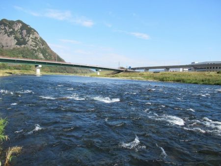 狩野川(狩野川漁業協同組合) 釣果