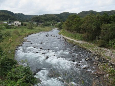 狩野川(狩野川漁業協同組合) 釣果
