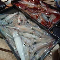 宝生丸 釣果