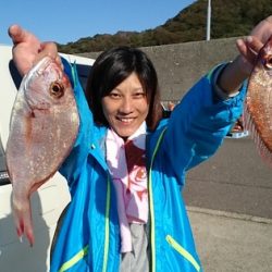 大進丸(新潟) 釣果