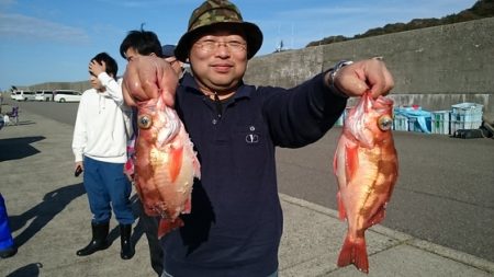大進丸(新潟) 釣果