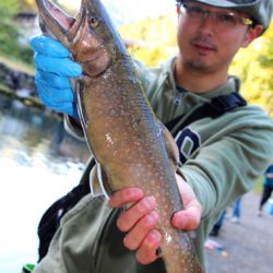 小菅トラウトガーデン 釣果