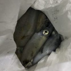 さぶろう丸 釣果