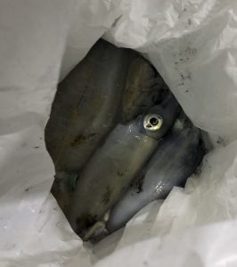 さぶろう丸 釣果