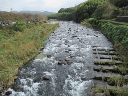 狩野川(狩野川漁業協同組合) 釣果