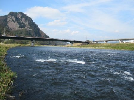 狩野川(狩野川漁業協同組合) 釣果