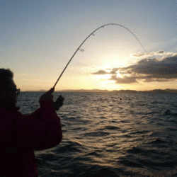 遊漁船ブルーウッズ 釣果