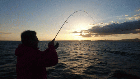 遊漁船ブルーウッズ 釣果