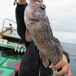 真祐丸 (しんゆうまる) 釣果