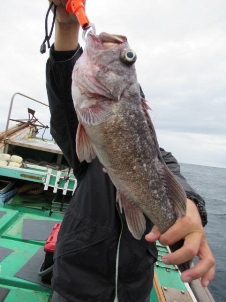 真祐丸 (しんゆうまる) 釣果